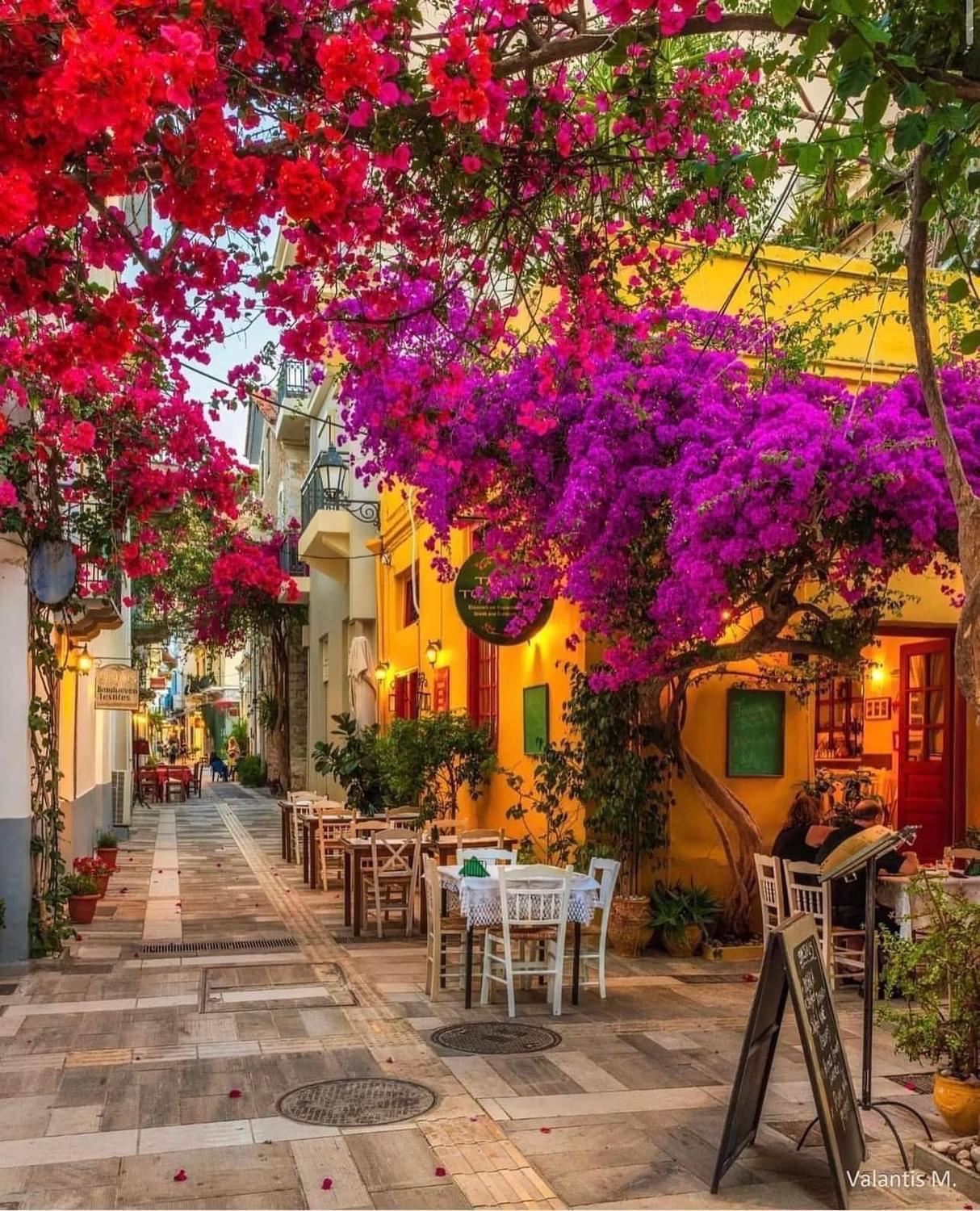 Villa Artemis Nafplion Tolo Exterior photo