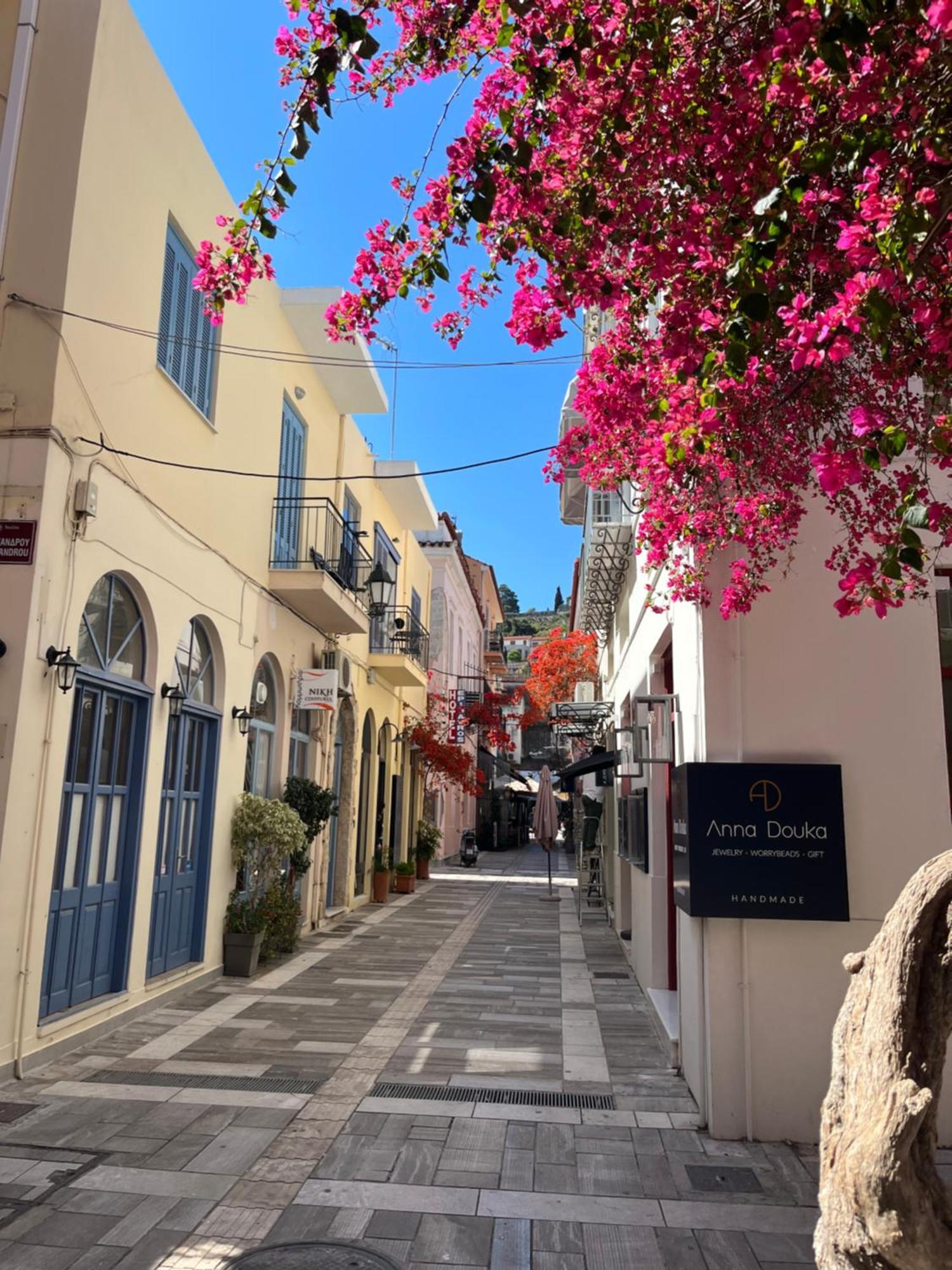 Villa Artemis Nafplion Tolo Exterior photo